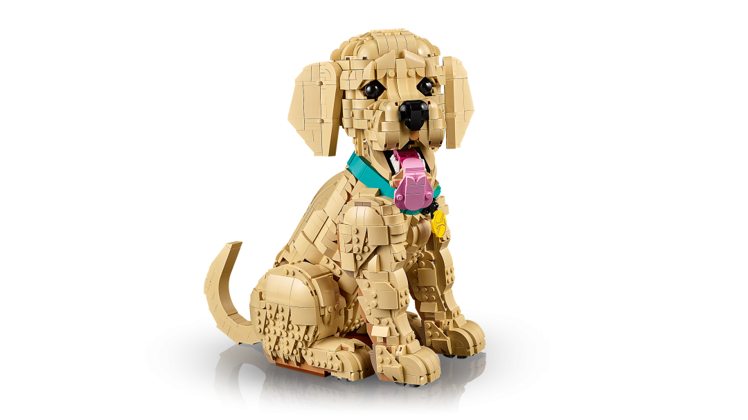 LEGO Icons 11384 Golden Retriever Puppy