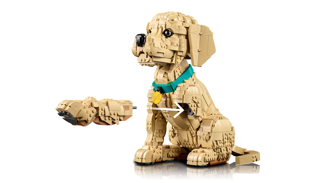 LEGO Icons 11384 Golden Retriever Puppy
