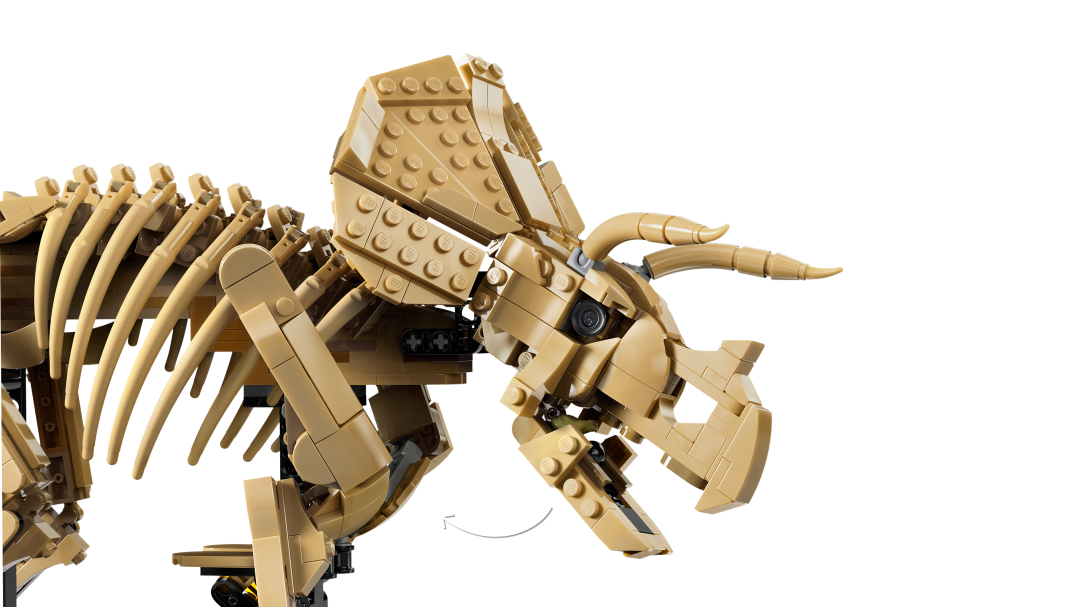 LEGO Jurassic World 77985 Dinosaur Fossils: Triceratops