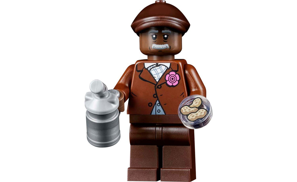 LEGO Ideas 21355 The Evolution of STEM