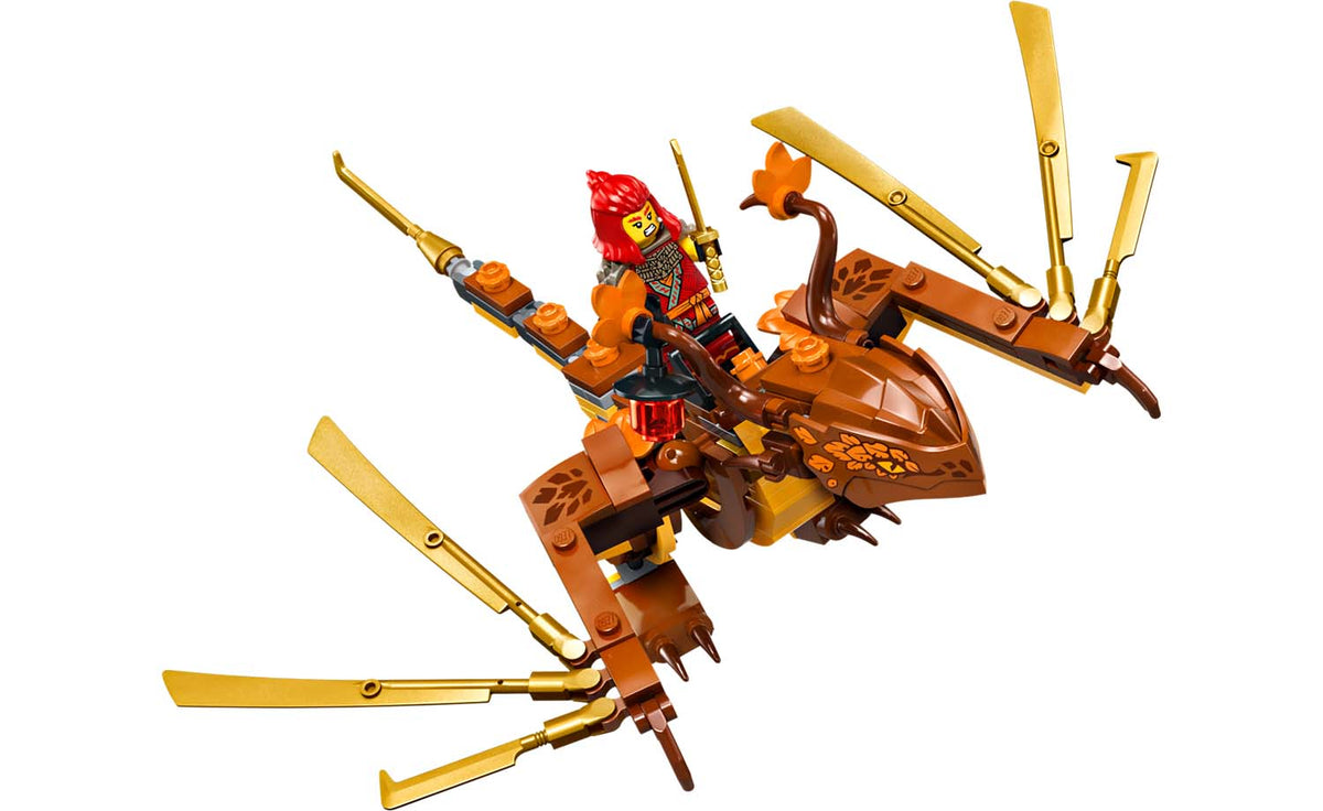 LEGO NINJAGO 71814 Tournament Temple City